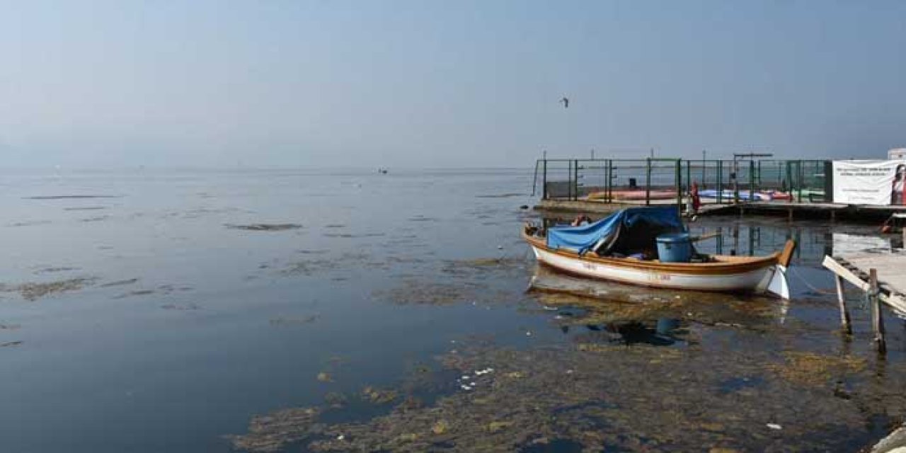 İzmir Körfezi’nde Yeşil Alarm! Deniz Marulları Sahilleri Kapladı