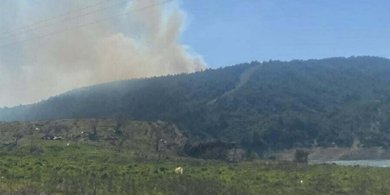 Çanakkale'de ormanda yangın