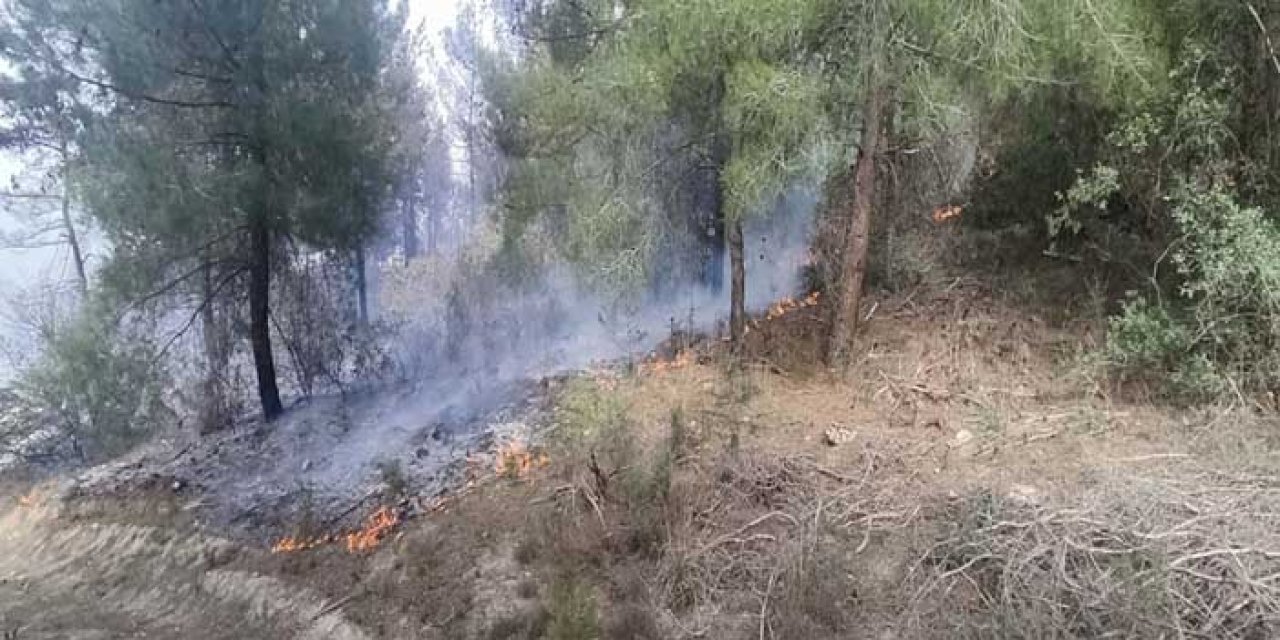 Manisa’da Orman Yangını: 1 Hektar Alan Küle Döndü