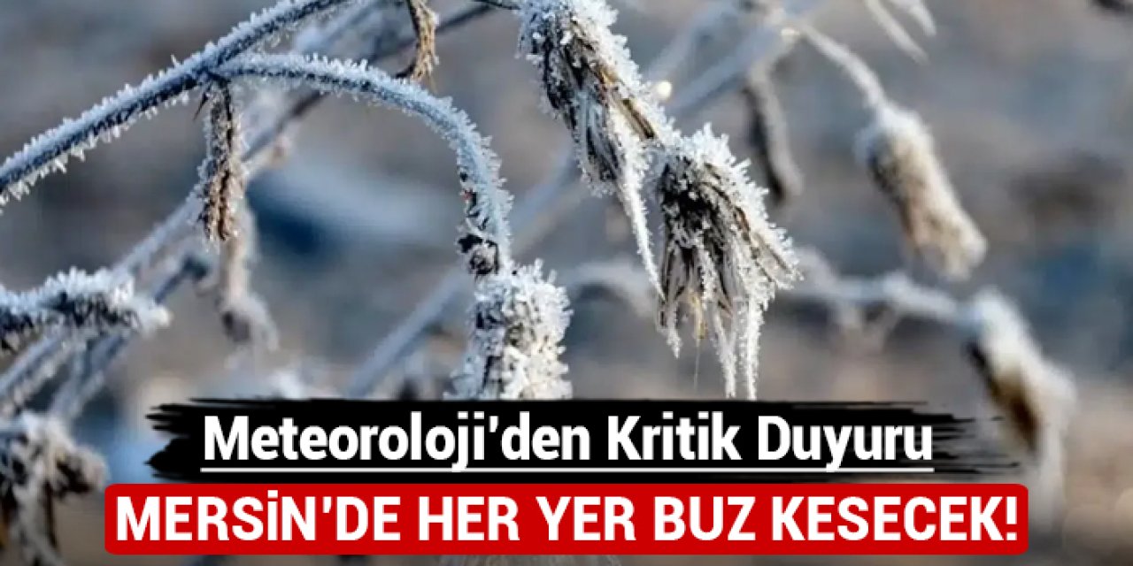 Mersin'de her yer buz kesecek: Meteorolojiden önemli duyuru!