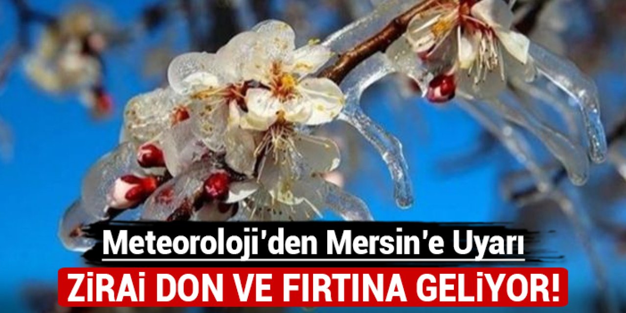 Meteoroloji'den Mersin'e uyarı: Zirai don ve fırtına geliyor!