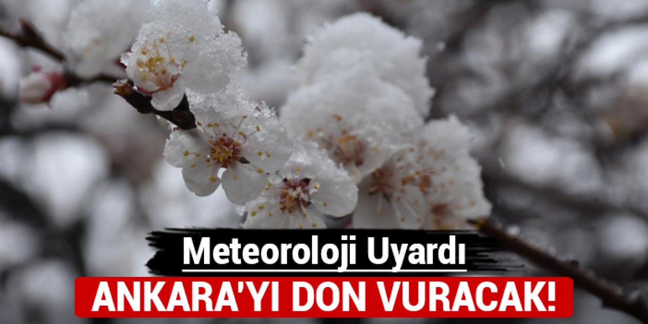 Meteoroloji duyurdu: Ankara'yı don vuracak!