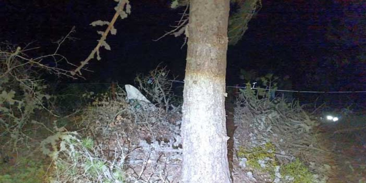 Giresun’da Acı Olay: Bitki Toplarken Uçuruma Düşen Yaşlı Adam Hayatını Kaybetti