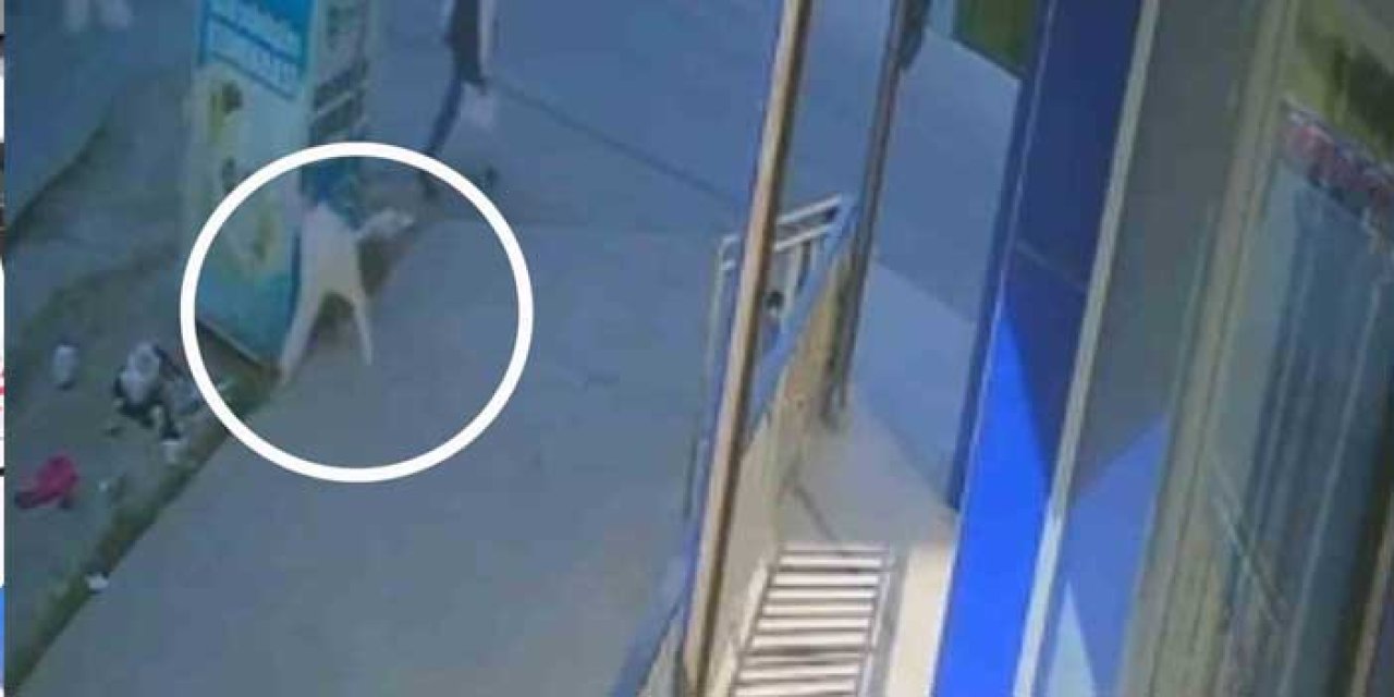 Tekirdağ’da Acı Kaza: 1 Yaşındaki Bebek 5. Kattan Düşerek Hayatını Kaybetti