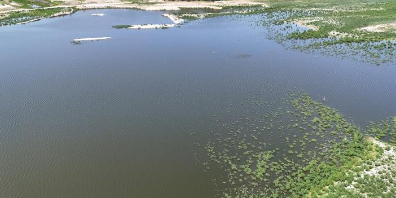Kırklareli'nde çevreyi kirleten çiftliğe ağır para cezası
