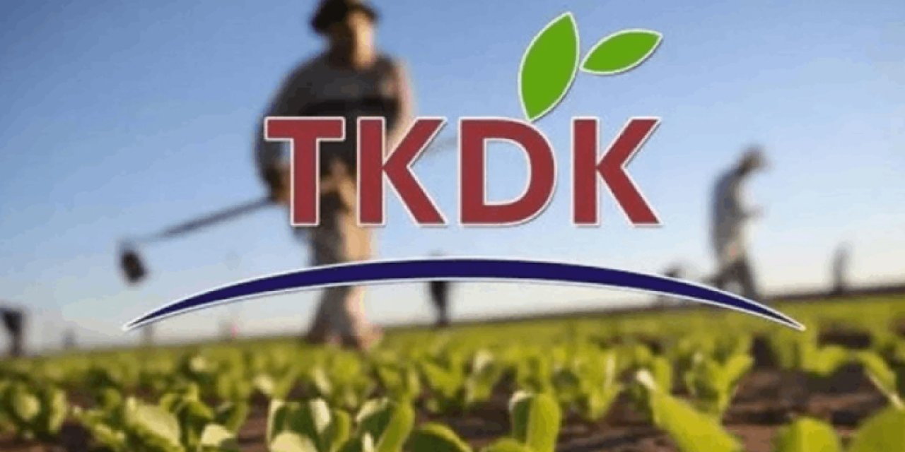 TKDK'den Hatay’daki depremzede girişimcilere 200 milyon lira destek