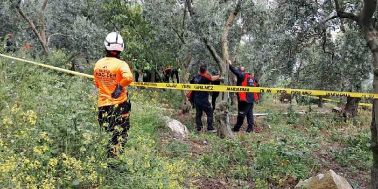 Kayıp emekli öğretmen zeytinlik alanda asılı halde ölü bulundu!