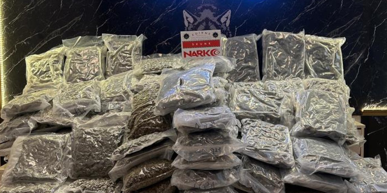 Hamzabeyli Sınır Kapısı'nda 115 kilo uyuşturucu yakalandı