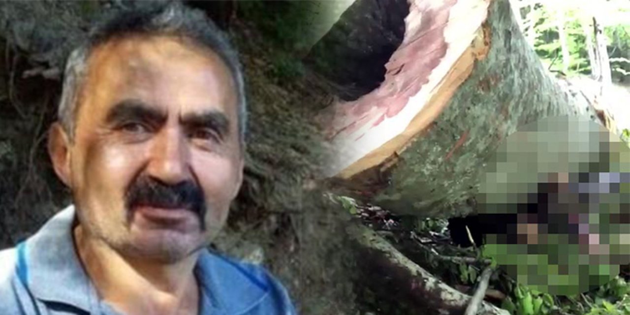 Bolu’da feci kaza: Kesim işçisi vefat etti