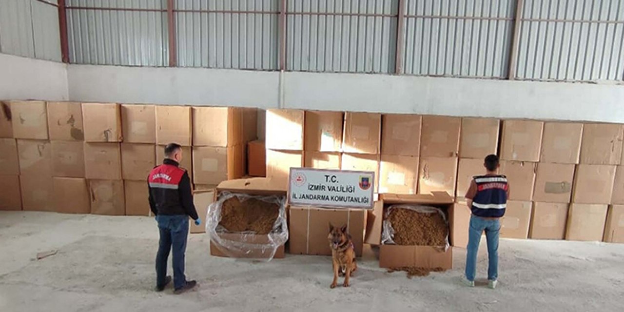 İzmir'de kaçak tütün operasyonu