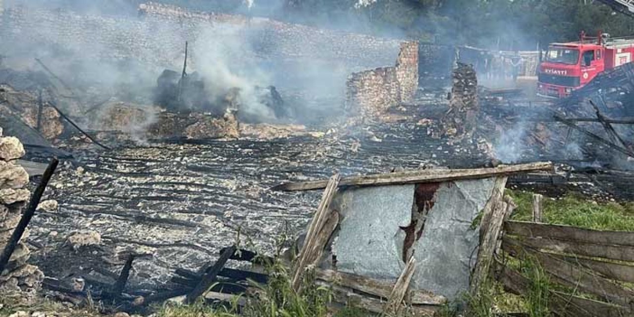 Uşak'ta Ahır Yangını: 54 Kuzu Telef Oldu