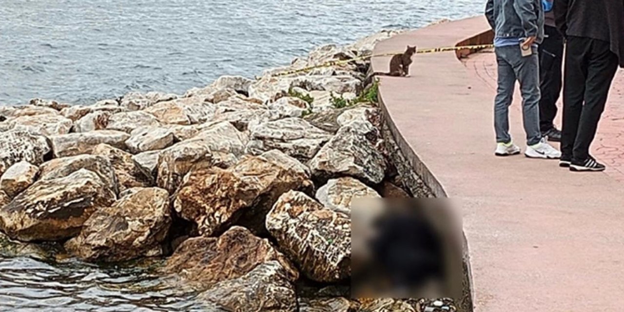 Kocaeli'de sahilde erkek cesedi bulundu