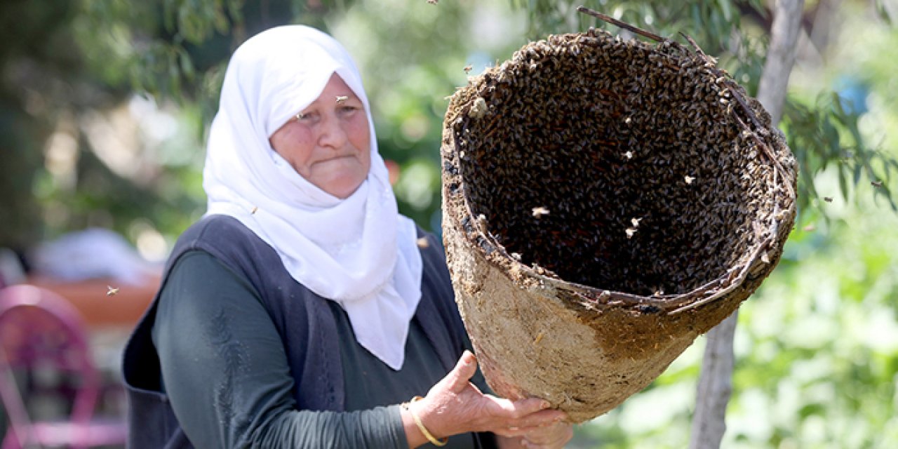 Kırklareli’nde arıcıların “oğul alma” mesaisi başladı