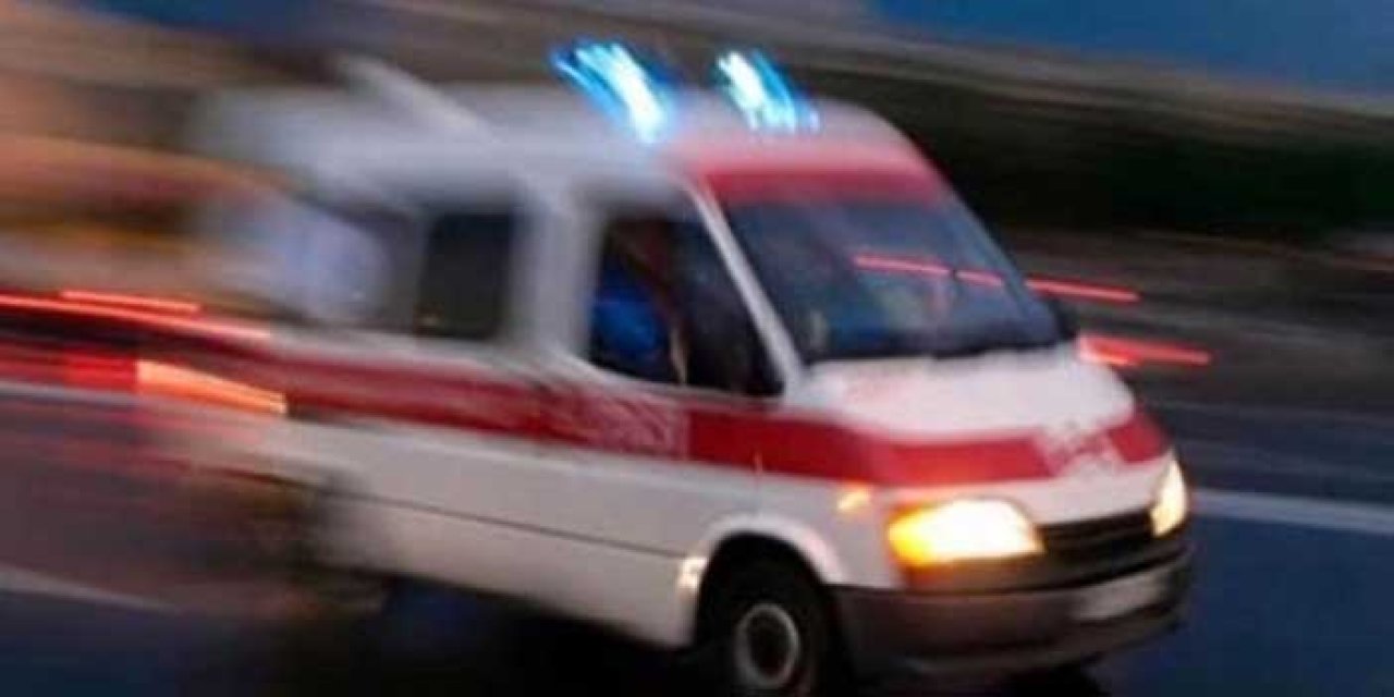 Tarlaya giden yaşlı adam ölü bulundu