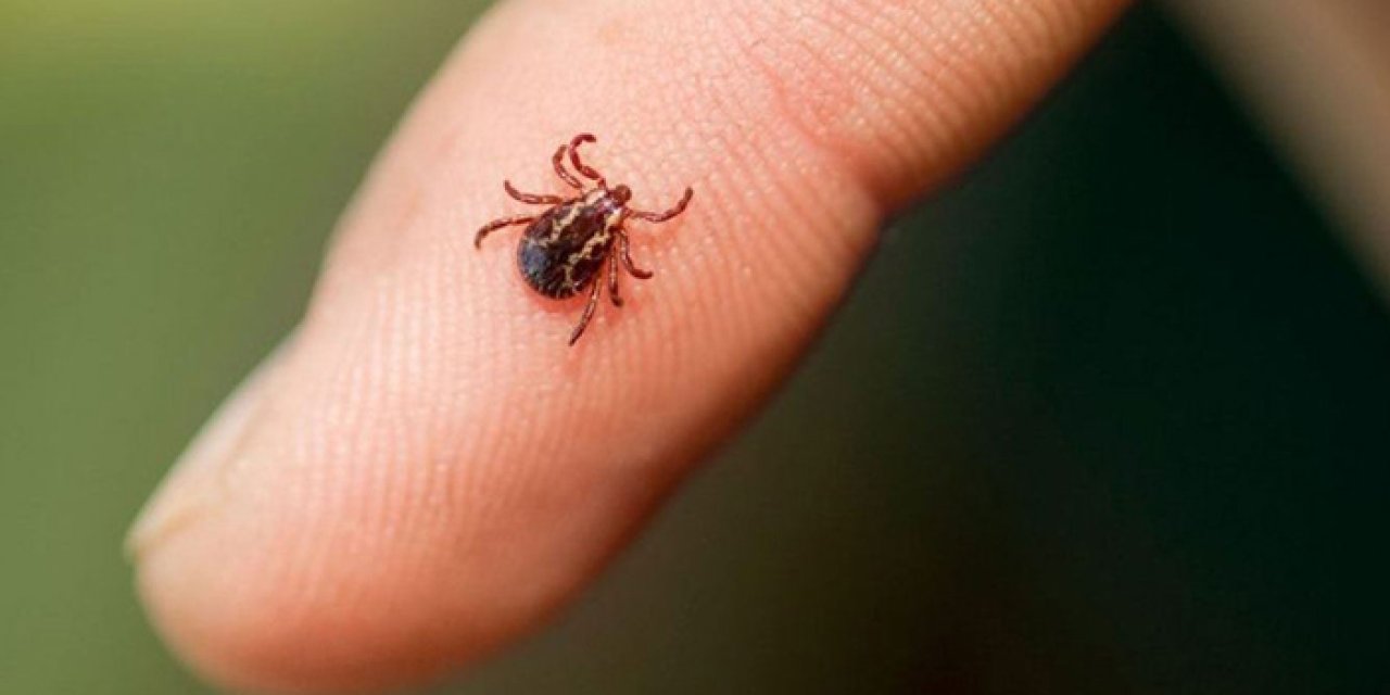 Sivas’ta KKKA alarmı: 6 kişinin tedavisi sürüyor