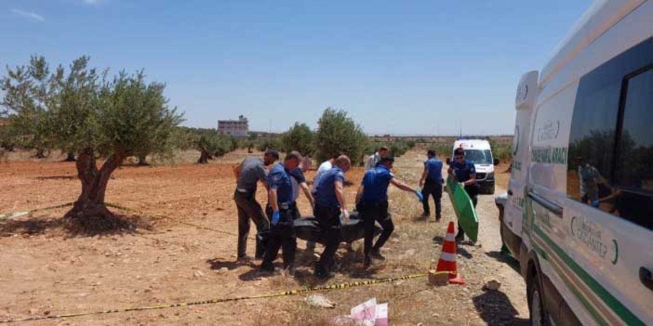 Gaziantep’te Zeytinlikte Şüpheli Ölüm: 25 Yaşındaki Gencin Cansız Bedeni Bulundu