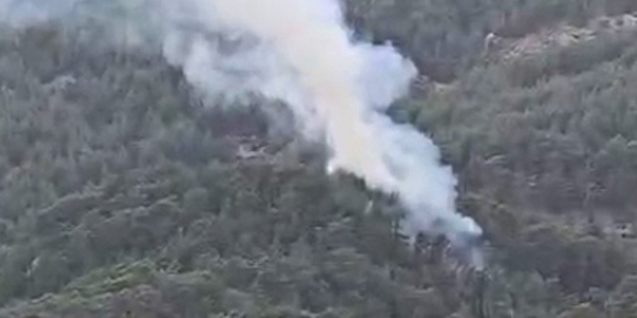 Antalya Kumluca’da orman yangını