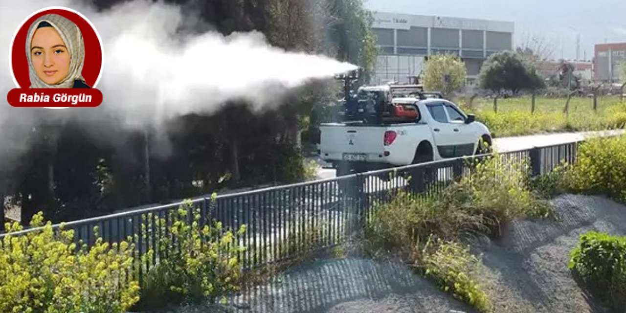 Mamak’ta seferberlik başladı: Haşere ve kenelerle mücadele hızlandı