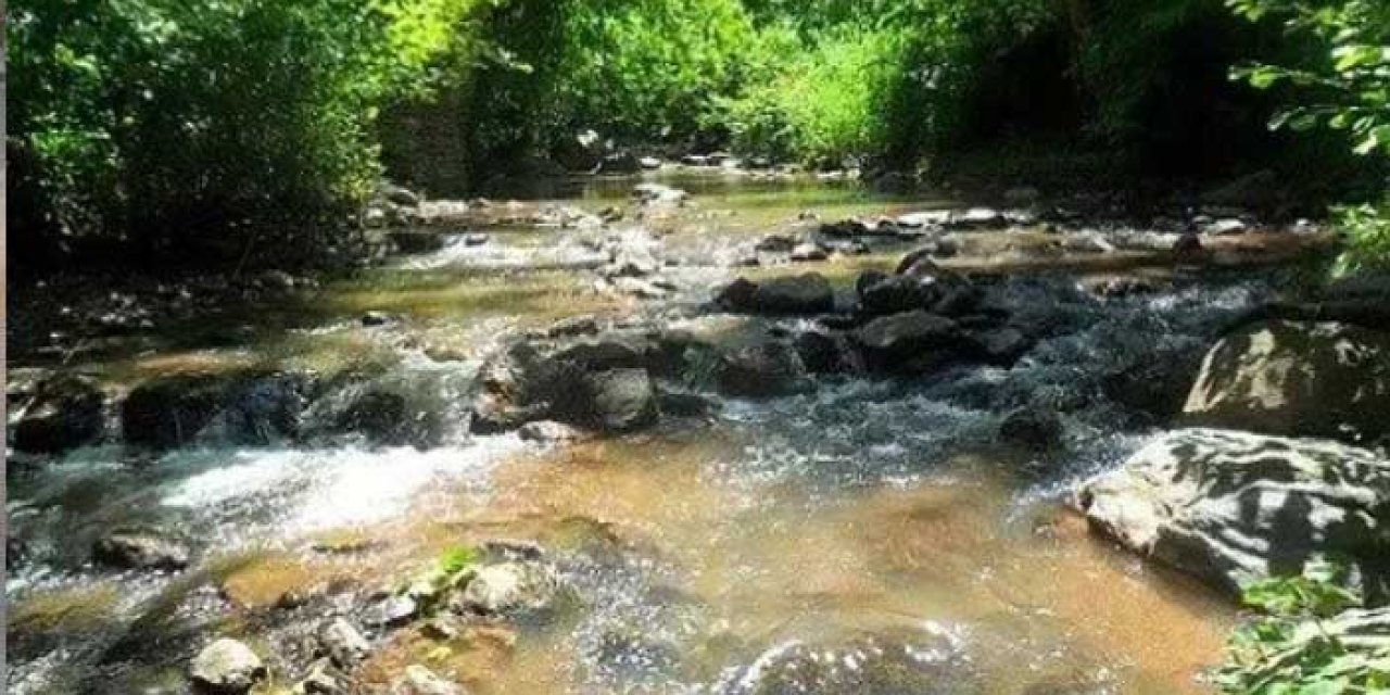 Manisa’da Doğanın Saklı Cenneti: Karadeniz’i Aratmayan Köy