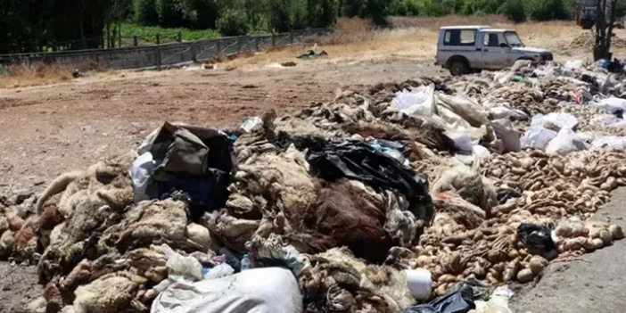 Gölbaşı Belediyesi uyardı: Kurban atıklarını sokakta bırakmayın