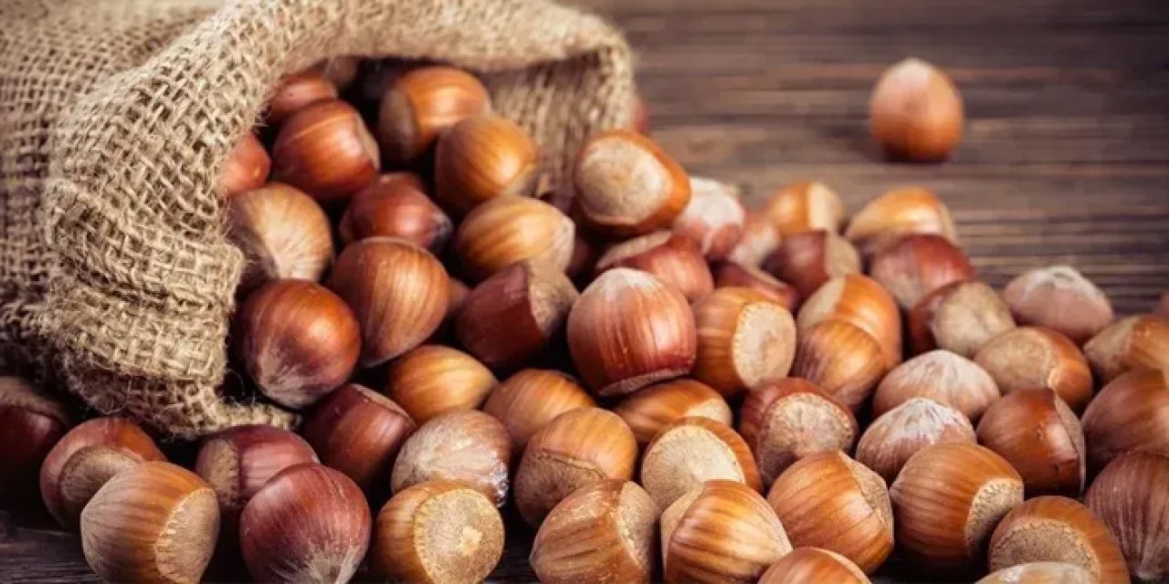 Zirai don fındığı yaktı: Rekolte kaybı yüzde 50’ye dayandı