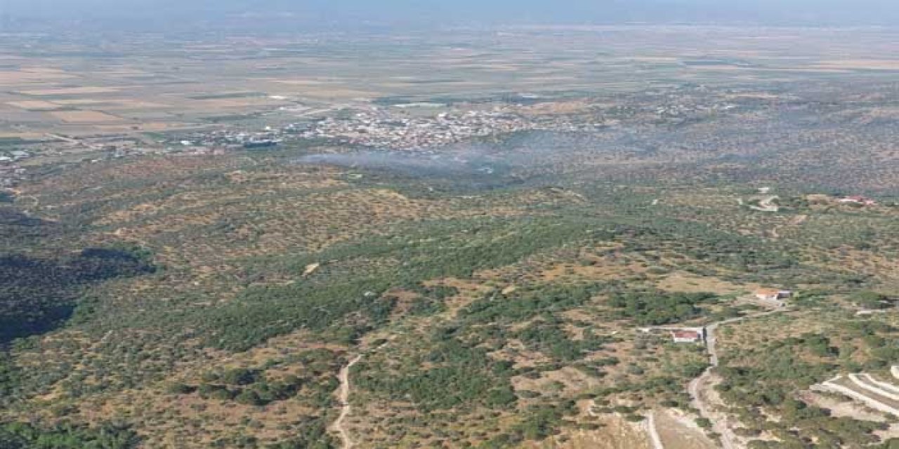Aydın'da, tarım arazisindeki yangın 1,5 saatte söndürüldü