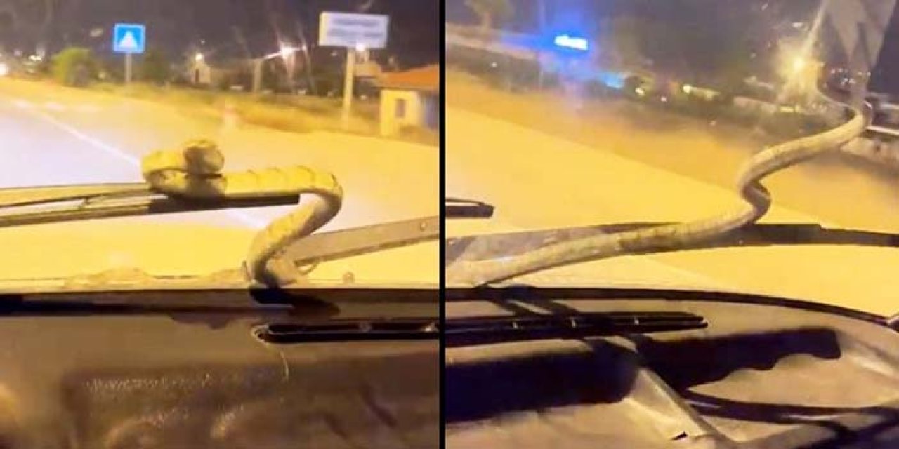 Seyir halindeki otomobilin camında yılan sürprizi