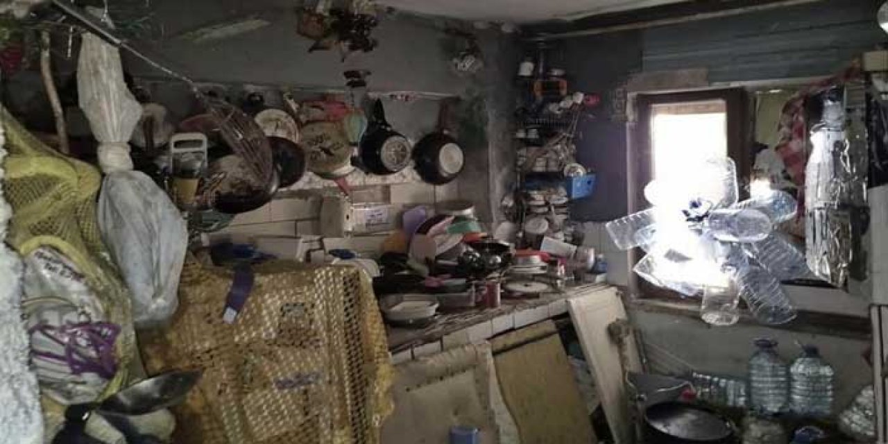 Aydın'da bir evden 4 kamyon çöp ile 12 kedi ve 3 kaplumbağa çıktı