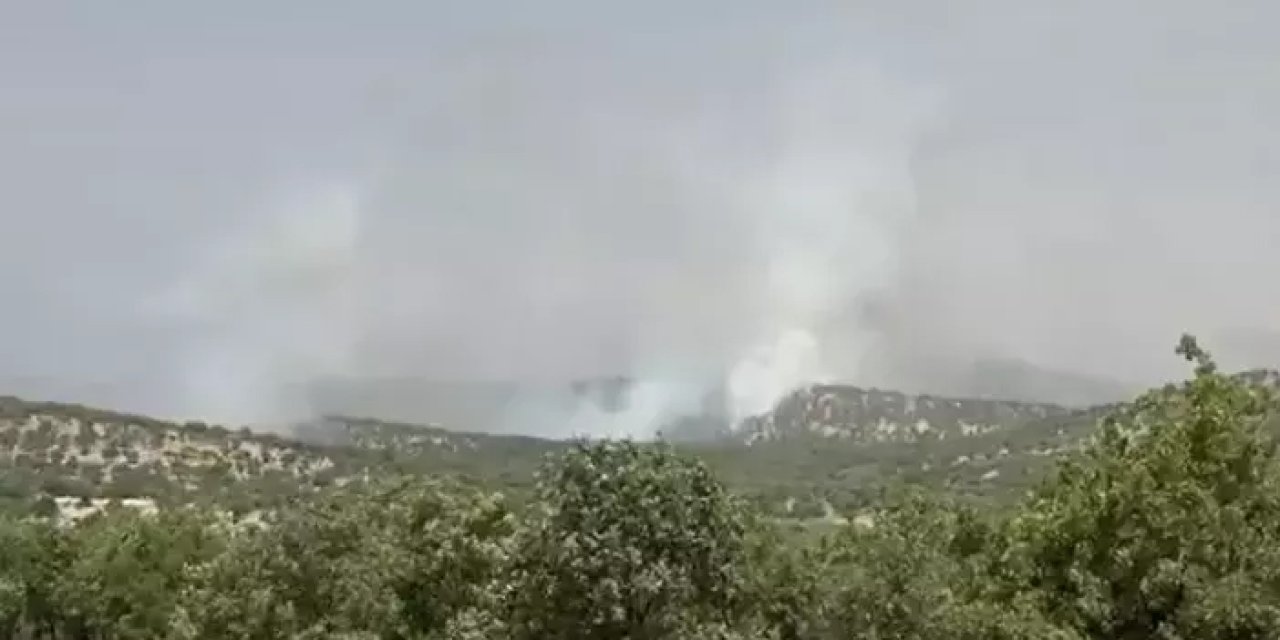 Mardin Mazıdağı'nda orman yangını