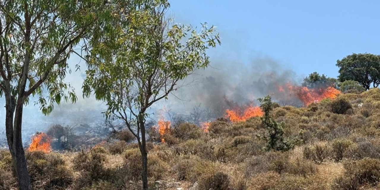 Bodrum'da makilik ve otluk alanda yangın çıktı