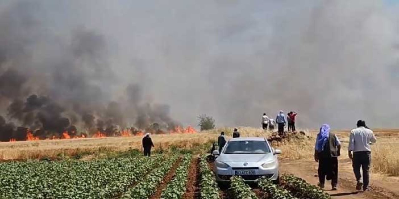 Şanlıurfa'da tarla yangını: 1'i ağır 5 yaralı