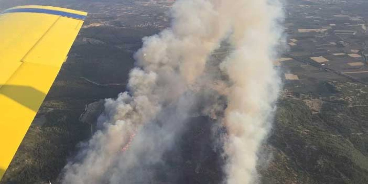 Manisa'da Bir Orman Yangını Daha: Ekipler Alarma Geçti