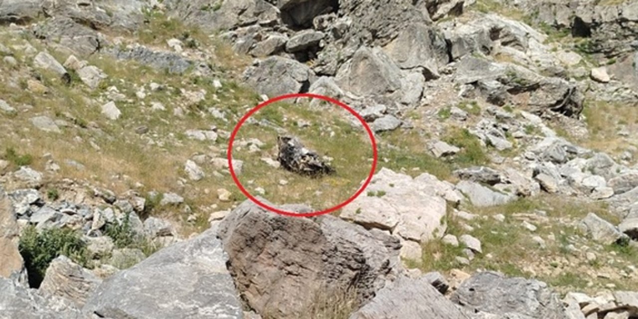 Batman’da keşif dönüşü facia: 5 kişi birden öldü