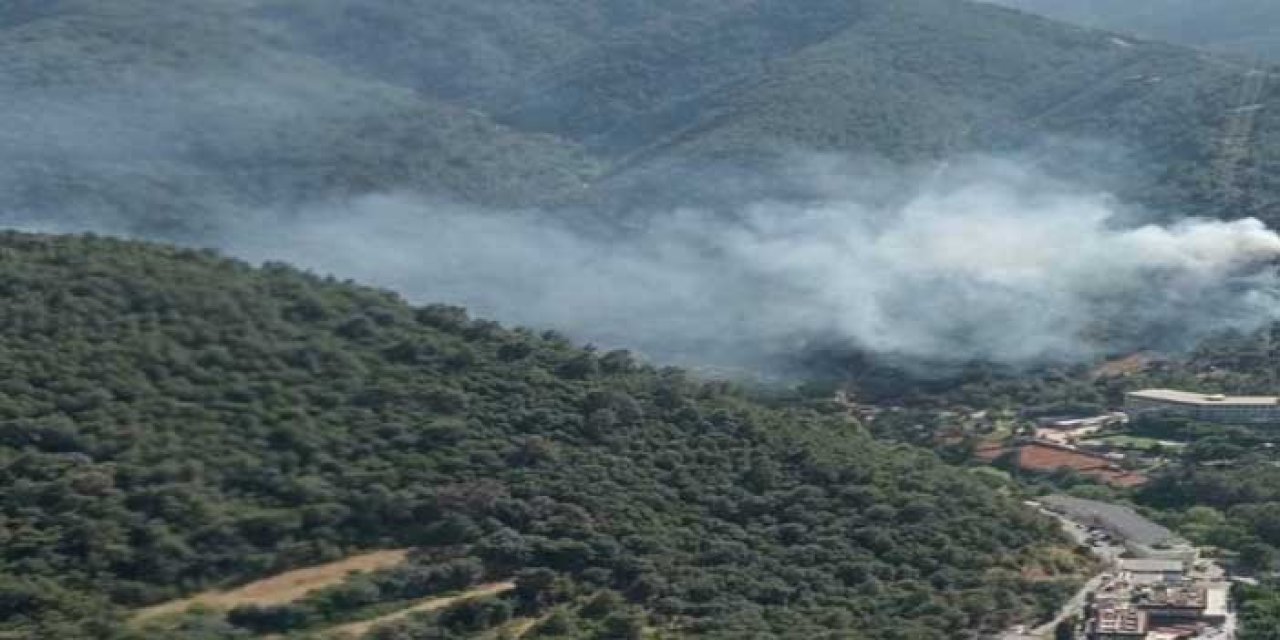 Alevler Ormana Sıçradı: İzmir’de Havadan ve Karadan Müdahale