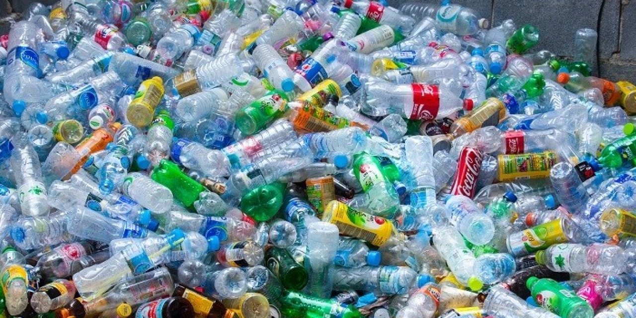 Plastik atıklardan bakteriyle ağrı kesici üretildi