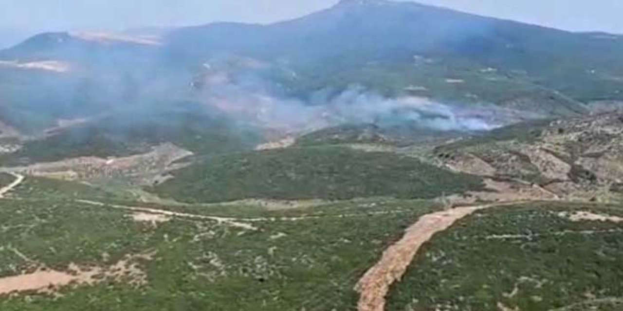 İzmir'de bir yangın daha: Torbalı'daki ormanlık alandan alevler yükseldi!