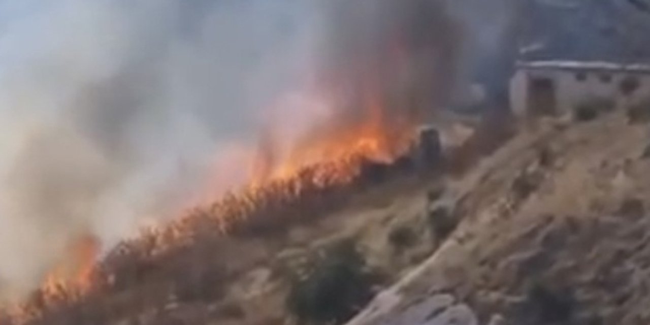 Elazığ’da otluk alanda yangın