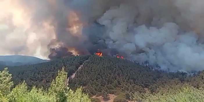 20 Saatlik Mücadele Yetmedi: Foça'da Orman Yangını Yeniden Yükseldi