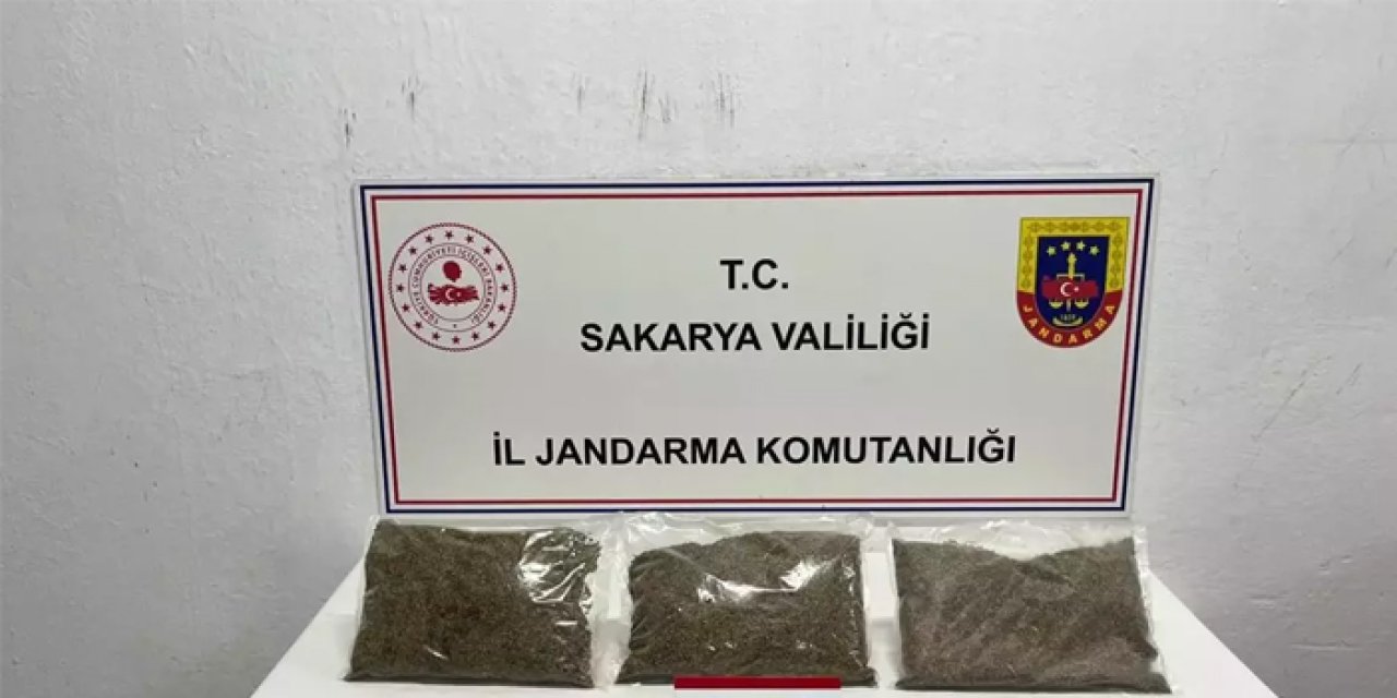 Sakarya'da uyuşturucu baskını: 2,5 kilo bonzai ele geçirildi