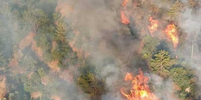 Manisa Saruhanlı’da orman yangını: 3 mahalle tahliye edildi