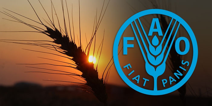Türkiye, FAO konsey üyeliğine seçildi