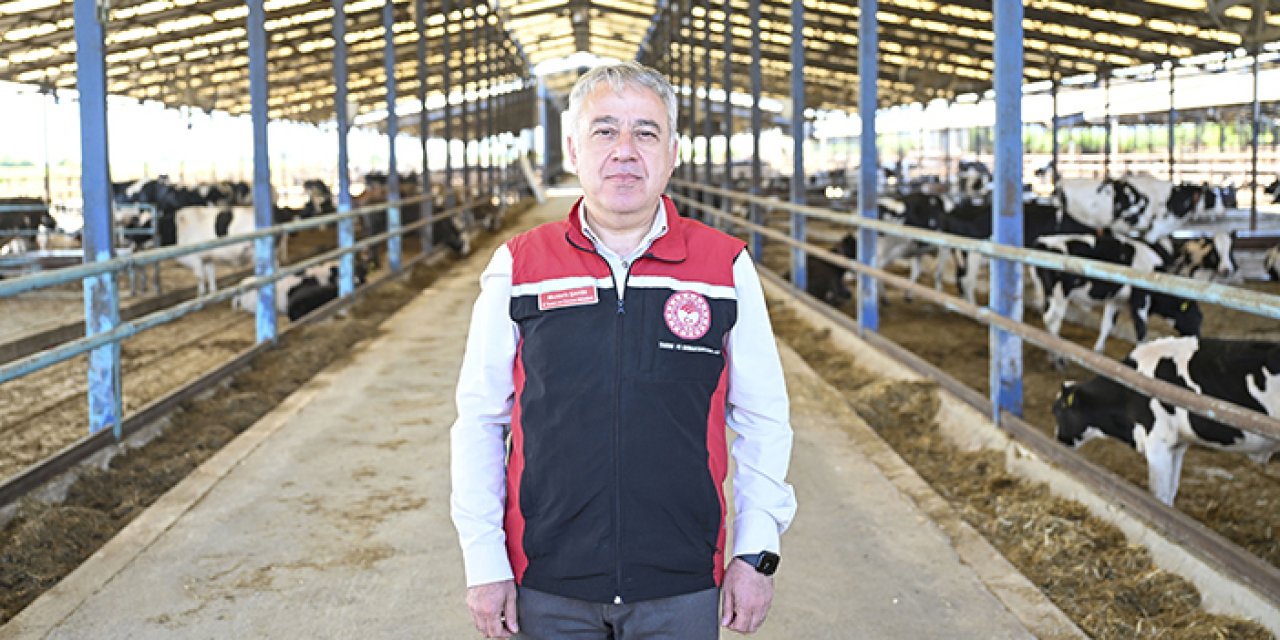 Ödemiş’te tahliye edilen hayvanlara özel bakım