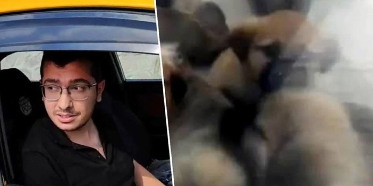 Ankara’da doktor hakkında köpeklere işkence ve istismar davası