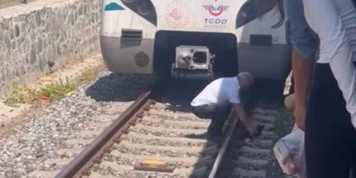 Raydaki yavru kedi için treni durdurdu