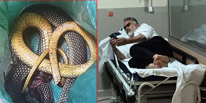 Kendini ısıran yılanı öldürüp hastaneye gitti