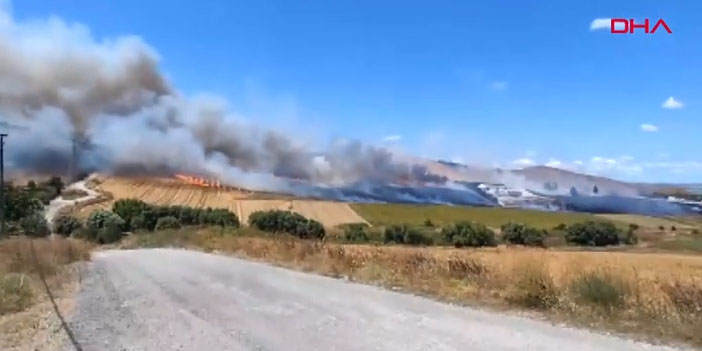 Büyükçekmece'de buğday tarlasında yangın paniği