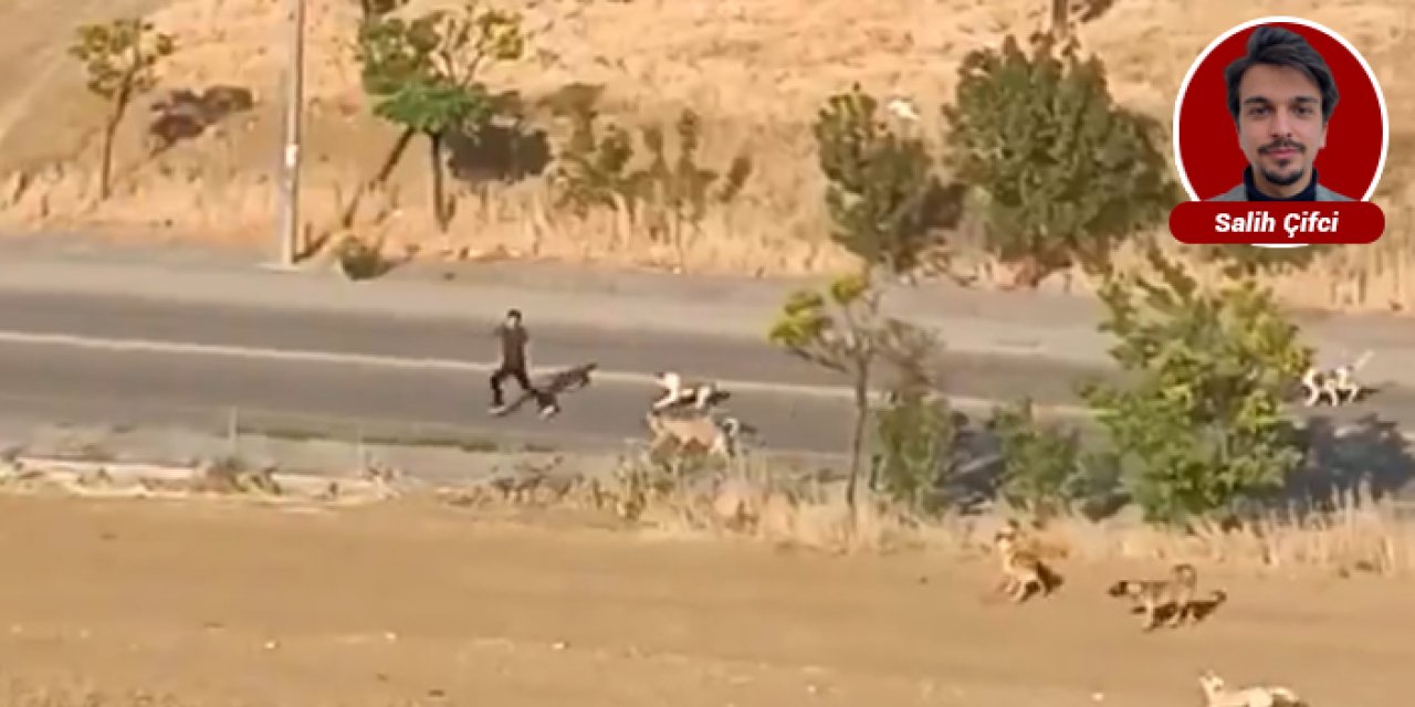 Yenimahalle’de başıboş köpek dehşeti: Vatandaş son anda kurtuldu