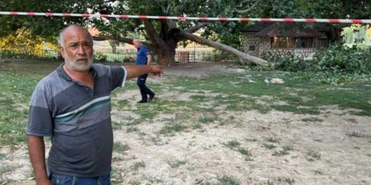 Piknikte dehşet: Dev ağaç dalı 11 kişiyi hastanelik etti!