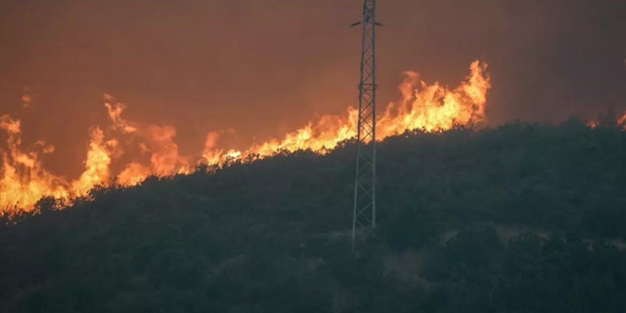 Eskişehir'de yangında alevlerin arasında kalan 10 orman işçisi ve AKUT çalışanı şehit oldu