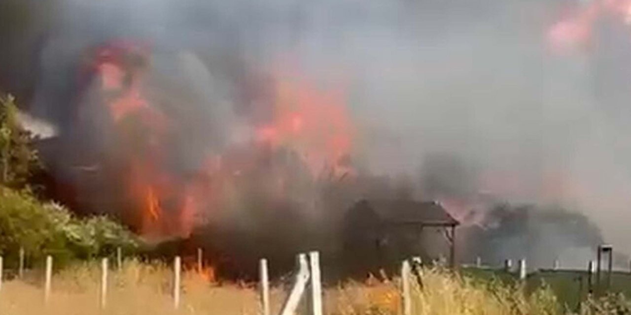 İzmir'de acı bilanço: Tarım arazisi küle döndü